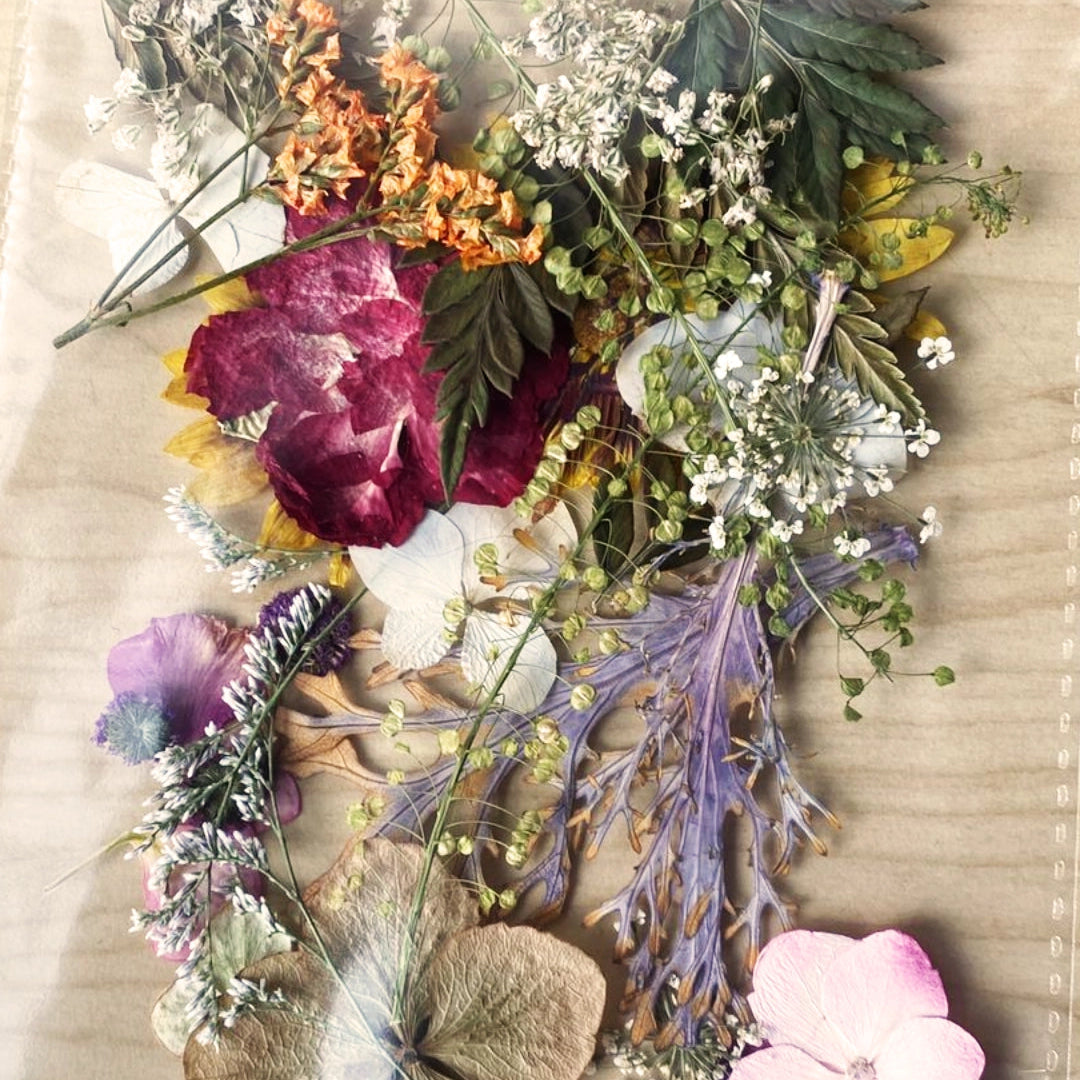 Taller Composición de Cuadros con Flores Prensadas